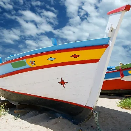 Aster Charneca (Setubal)